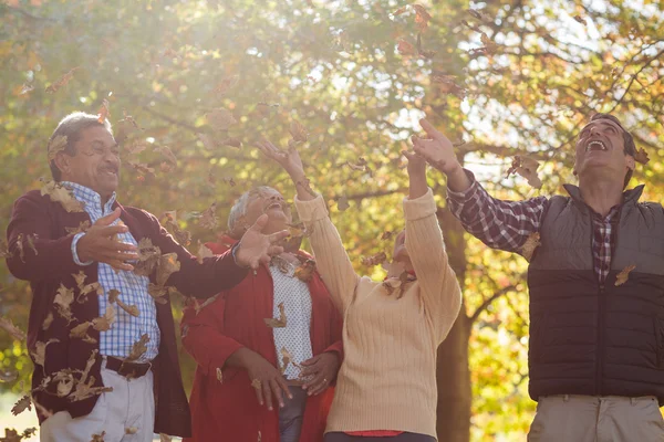 Familjen njuter på park — Stockfoto