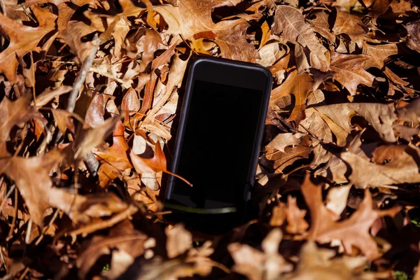 移动电话在秋天的落叶 — 图库照片