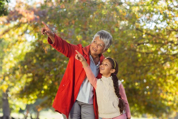 Granddaughter with grandmother pointing at park — Stock Photo, Image