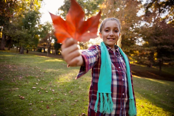 Usmívající se dívka zobrazeno podzimní listí v parku — Stock fotografie
