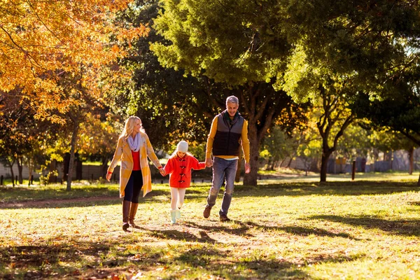 Familia caminando en el parque —  Fotos de Stock