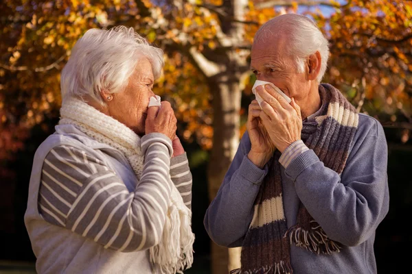 Couple de personnes âgées utilisant des tissus — Photo