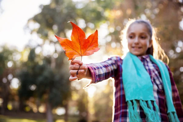 Niña sosteniendo hoja de otoño en parque — Foto de Stock