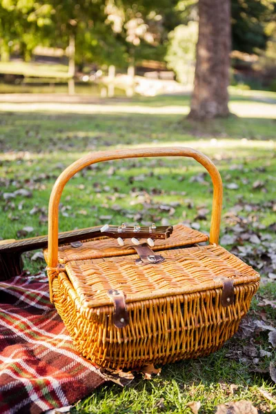 Wicker basket on field at park — Stock Photo, Image