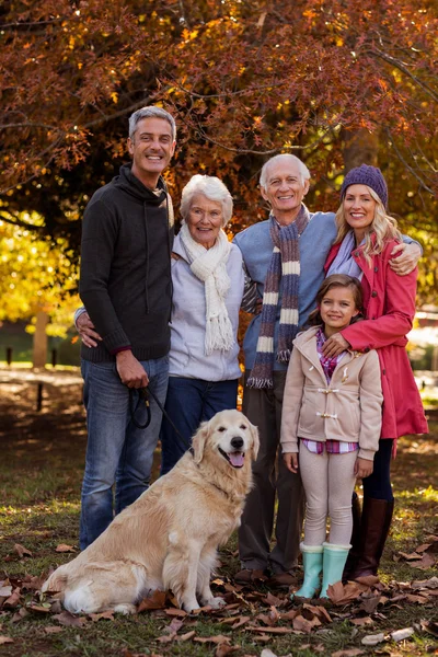 Семья, стоящая с собакой в парке — стоковое фото