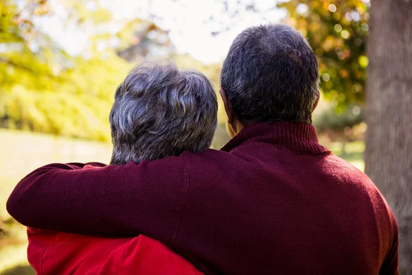 Couple embracing in park — Stock Photo, Image