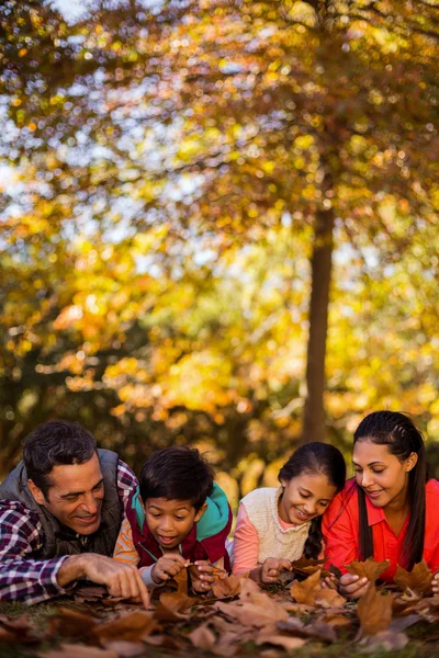 Playful family lying at park during autumn — Stock Photo, Image