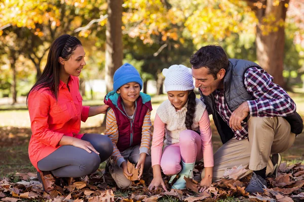 Семья играет с осенними листьями — стоковое фото