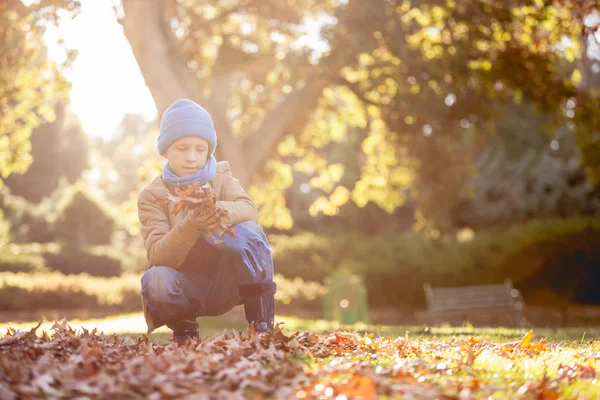 Pojken håller höstlöv på park — Stockfoto