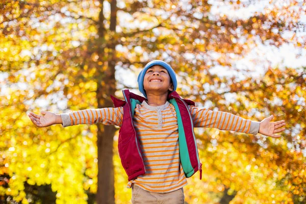 Chlapec s rozpřaženýma proti podzimní stromy — Stock fotografie