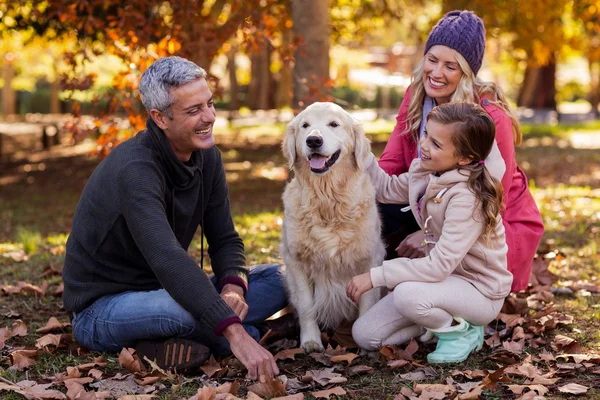 Família sentada com cão no parque — Fotografia de Stock