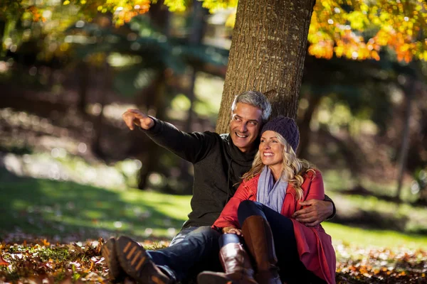Пара, сидящая под деревом в парке — стоковое фото