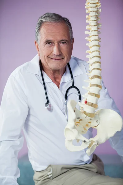 Portret fizjoterapeuty Badanie modelu kręgosłupa — Zdjęcie stockowe