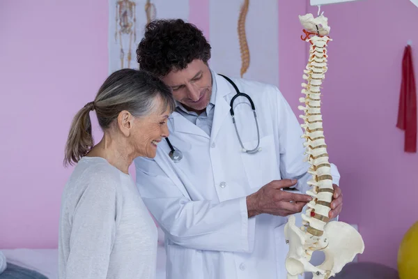 환자에 게 척추 모델을 설명 하는 물리 요법가 — 스톡 사진