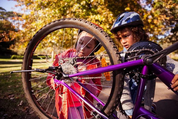 Hermanos concentrados reparando bicicleta de montaña — Foto de Stock