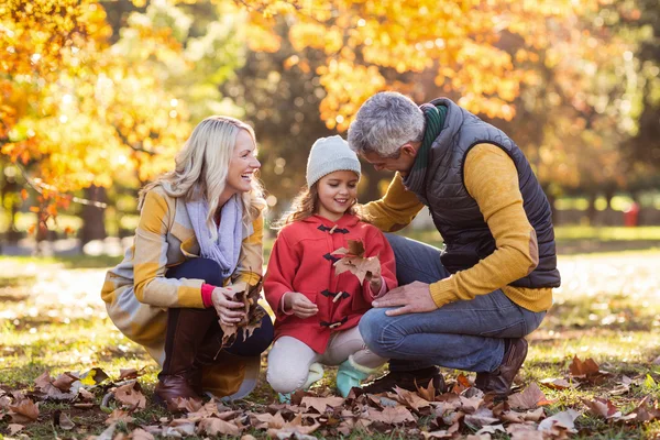Rodina v parku během podzimu — Stock fotografie