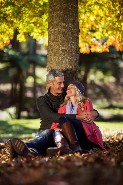 Romantický pár, sedící pod stromem v parku — Stock fotografie