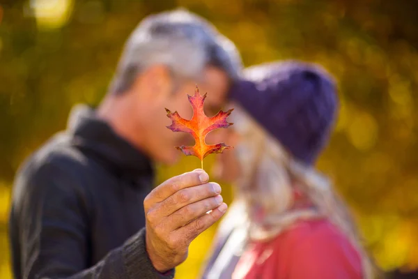 Uomo che tiene foglia mentre bacia donna — Foto Stock