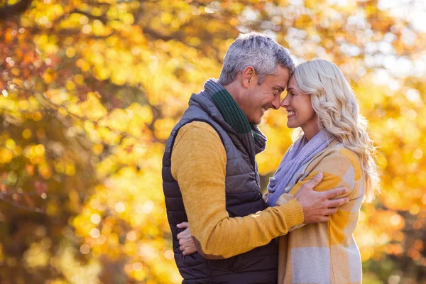 Pareja de pie cara a cara en el parque — Foto de Stock