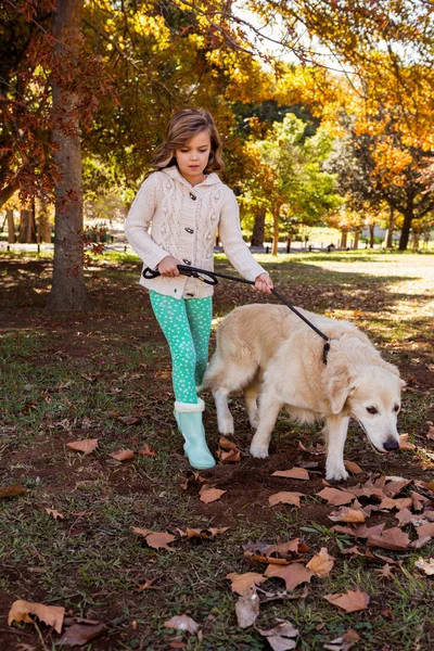 Chica tomando para paseo su perro — Foto de Stock