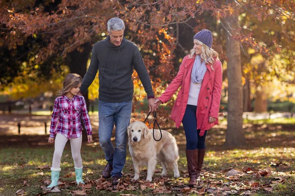 Сімейна прогулянка з собакою в парку — стокове фото