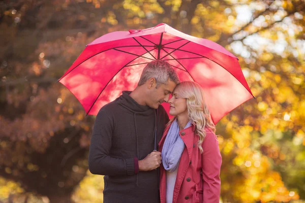 Casal romântico de pé com guarda-chuva no parque — Fotografia de Stock