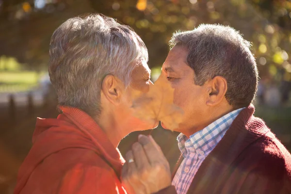 Пара покрывающих лицо листьями во время поцелуя — стоковое фото