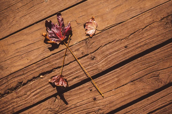 Autumn leaves on floorboard — Stock Photo, Image