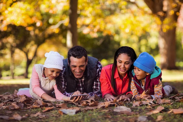 Família olhando para o telefone móvel no parque — Fotografia de Stock