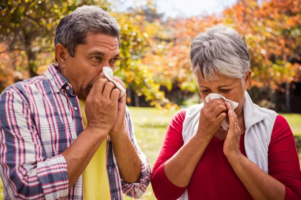 An elderly couple giving a blow — Stock Photo, Image
