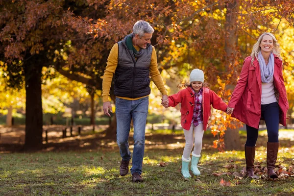 Caminata familiar en el parque durante el otoño —  Fotos de Stock