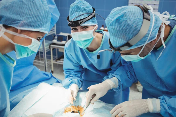 Хирург смотрит в камеру — стоковое фото