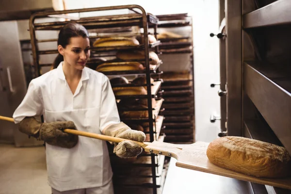 Női Pék, friss kenyér sütés — Stock Fotó