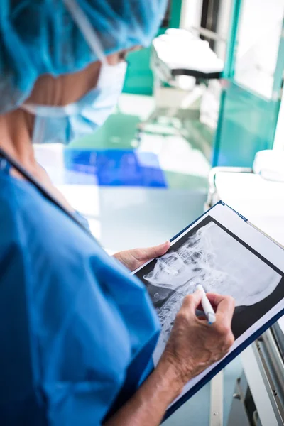 Surgeon examining x-ray — Stock Photo, Image