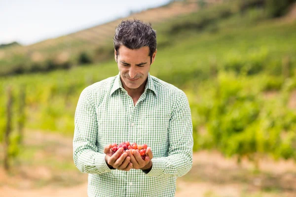 Viñedo sonriente sosteniendo uvas — Foto de Stock