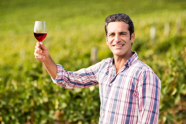 Manliga vinhandlare som innehar ett glas vin — Stockfoto