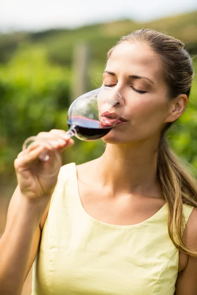 Vintner fêmea tendo vinho — Fotografia de Stock