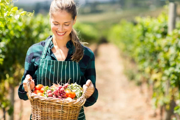 Landwirt hält einen Korb mit Gemüse — Stockfoto