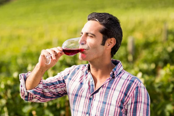男性的葡萄酒喝葡萄酒 — 图库照片