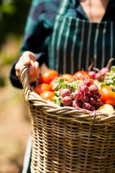 Jordbrukare som innehar en korg med grönsaker — Stockfoto