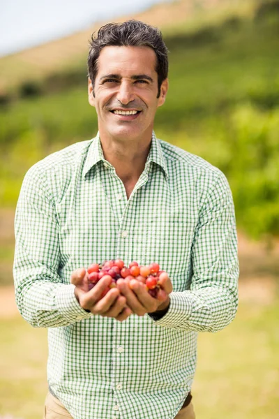 Viñedo sonriente sosteniendo uvas — Foto de Stock