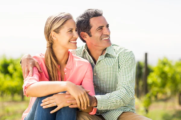 Pareja feliz sentada en el viñedo —  Fotos de Stock