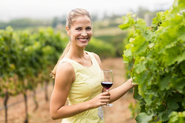 Winiarza gospodarstwa szkła i kontroli zbiorów winogron — Zdjęcie stockowe