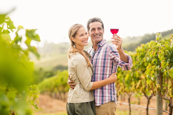 Couple looking at glass of wine — Stock Photo, Image