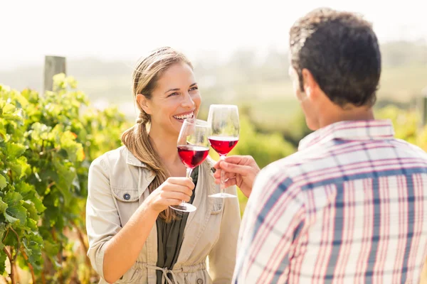 Couple toasting glasses of wine — Stock Photo, Image