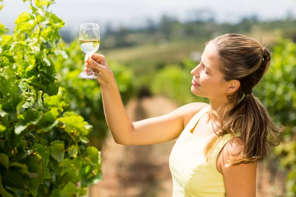 女性の醸造業者保持ワイン グラス — ストック写真