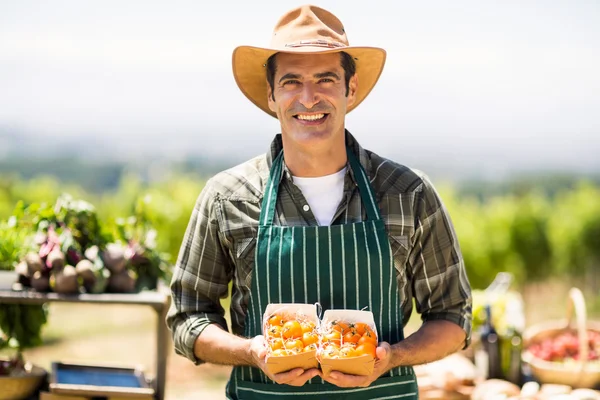 Granjero sonriente sosteniendo caja de fruta — Foto de Stock