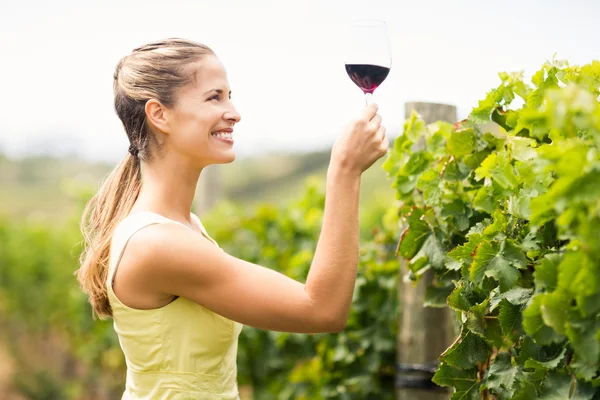 Vrouwelijke wijnboer bedrijf wijn glas — Stockfoto