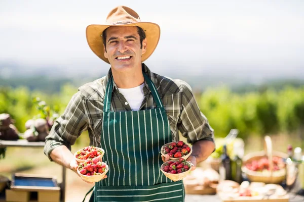 Agricultor exploração tigelas de morangos — Fotografia de Stock