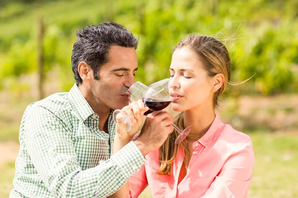 Casal feliz tendo vinho — Fotografia de Stock